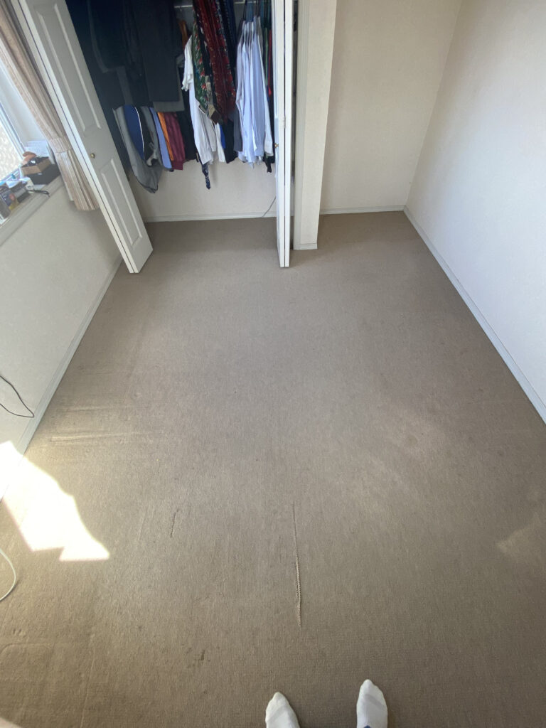 Carpeted Room 2
